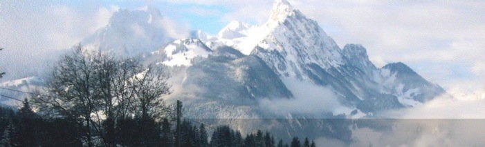 Chalet Rüeblihorn