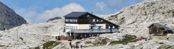 Rosetta "Giovanni Pedrotti"